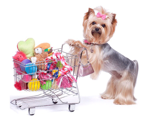 Suggested Pet Supplies New Dog Owners Must Buy | The Suggested