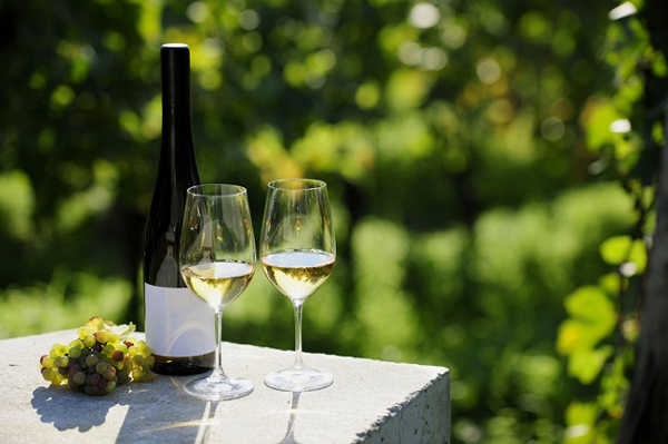 riesling-the-suggested-wine-for-white-wine-lovers-the-suggested