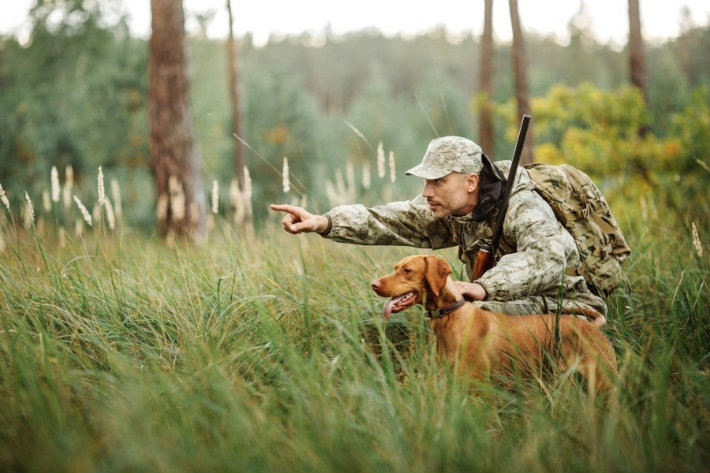 gps dog collar