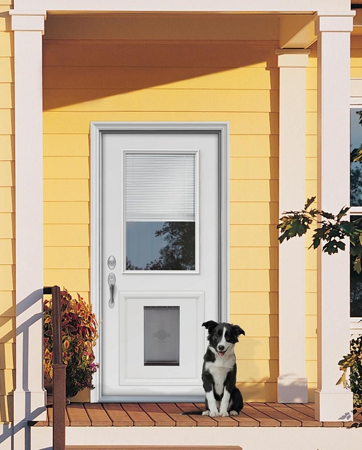 dog standing in front of the door