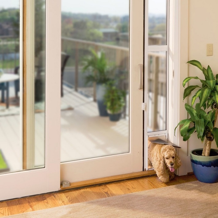 dog with patio panel installed