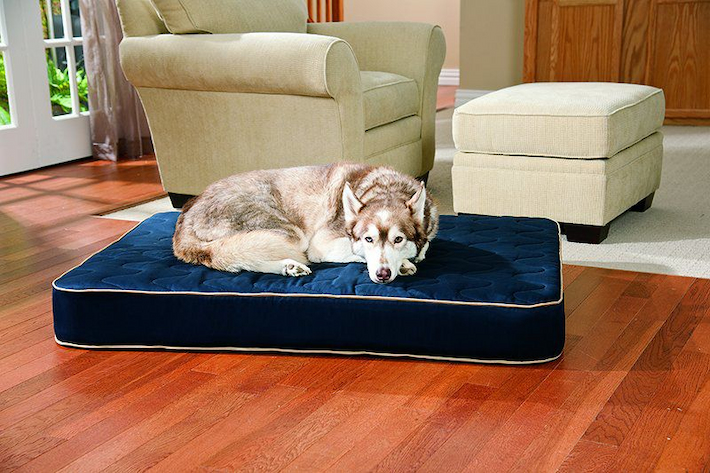 orthopaedic dog bed