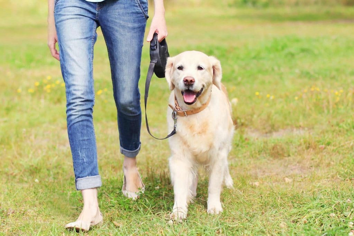 women taking a dog for a walk