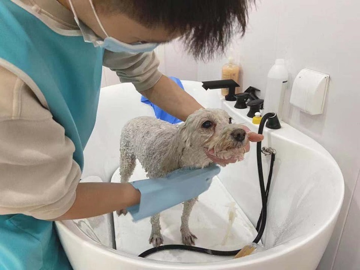 a dog getting a bath in a pet bath tub