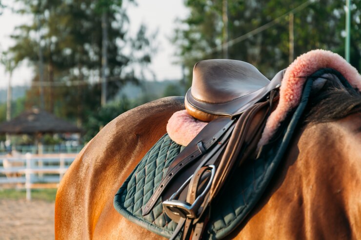 saddle for horse