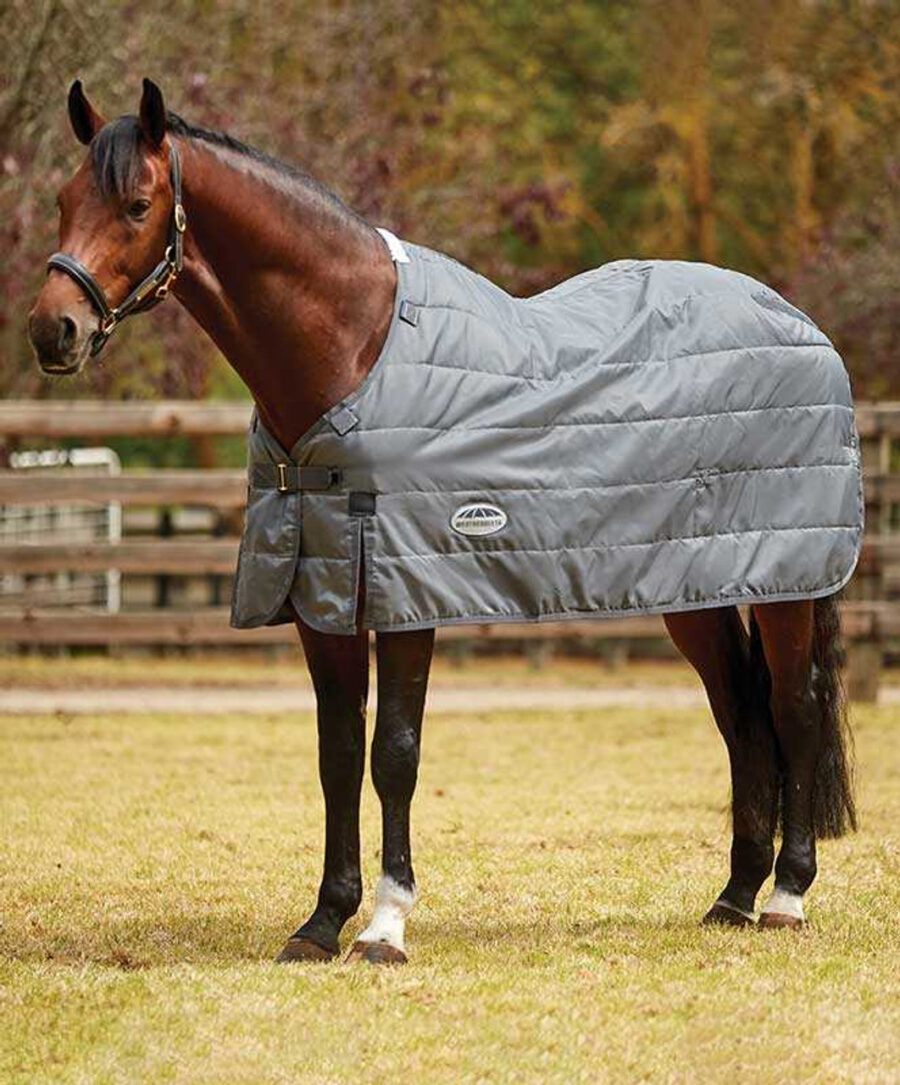 blanket for a horse